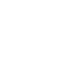 Crosscultural Advisor - Japanese | Emi Kamito